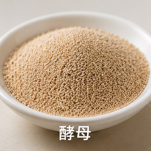 yeast